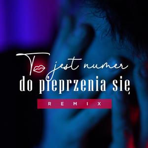To jest numer do Pieprzenia się (Remix)
