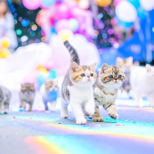 ちいさな勇者のマーチ