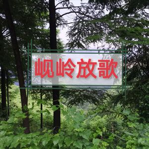 【国风五音】岘岭夜行