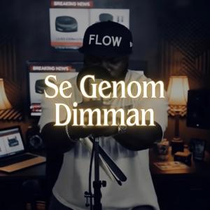 Se Genom Dimman