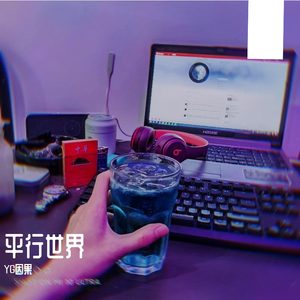 她经过了我的平行世界