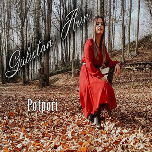 Dilşad Rojava / Nema Pejnate Hat