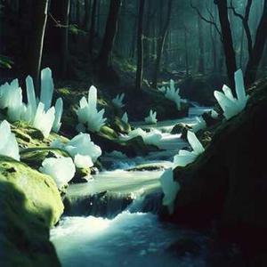 Mi Santuario, My Sanctuary!