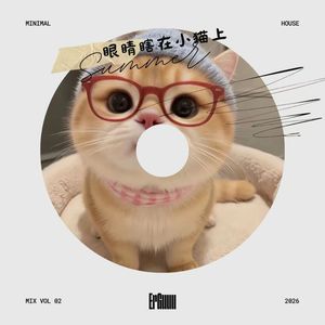 眼睛瞎在小猫上