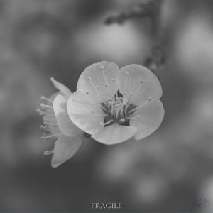 Fragile