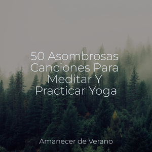 Expedición Armónica Un Viaje Musical