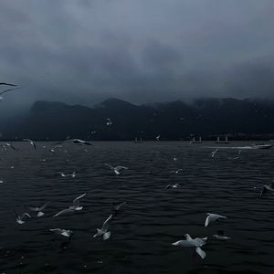 情人总分分合合