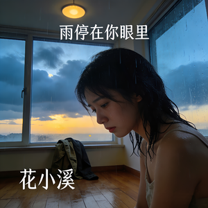 雨停在你眼里