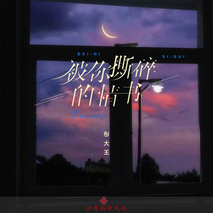 被你撕碎的情书