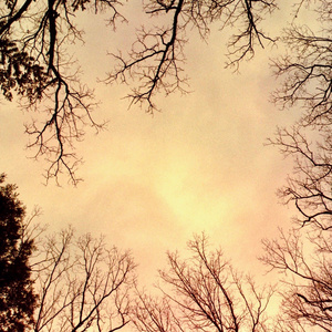 Cora (Maxy Dutcher Rework)