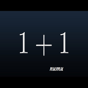 1 + 1