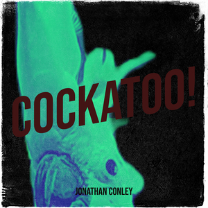Cockatoo!