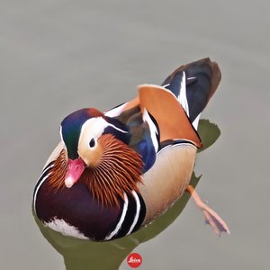 Romantic Candlelit Night