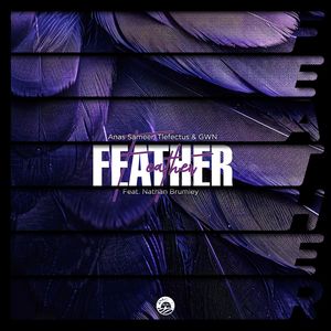 Feather (Feat.Nathan Brumley)