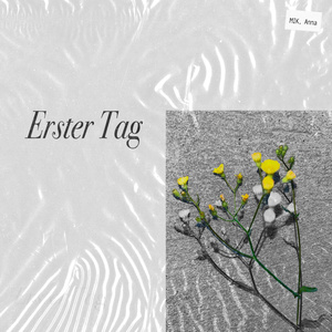 Erster Tag