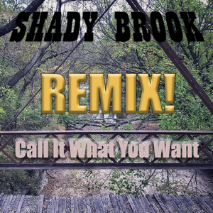 Call It What You Want (Alternate Mix)