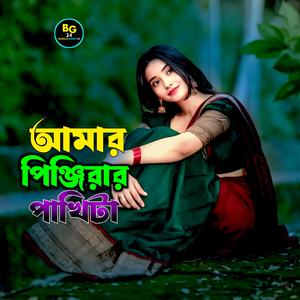 Amar Pinjirar Pakhita