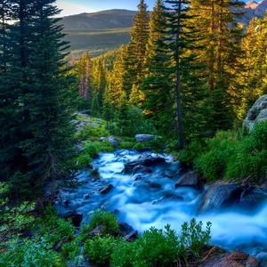 颜小七-一首百大dj风土嗨！（LMY remix）