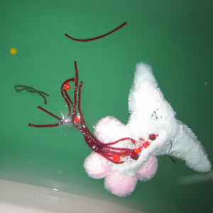 ファミレス・ロック