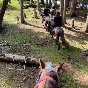 i2-防V18（有钱的废物 remix）