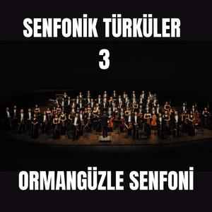 Eşeği Saldım Çayıra