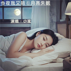 今夜我又陪着月亮失眠 (伴奏)