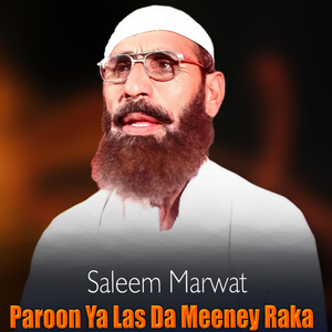Paroon Ya Las Da Meeney Raka
