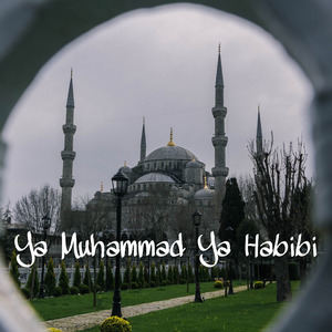 Ya Muhammad Ya Habibi