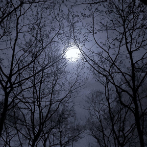 Full Fliiight Behing the Future (feat. Dominac) (MiiisterDoctor)