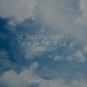 Cautivación Esencial