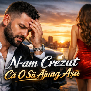 N-am Crezut Că O Să Ajung Așa