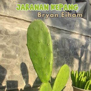 Jaranan Kepang