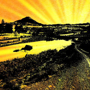 La mano o la pistola