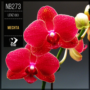 Mechta (Original Mix)