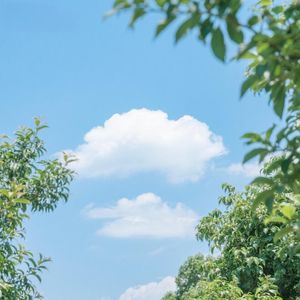 明月夜凄洒人间