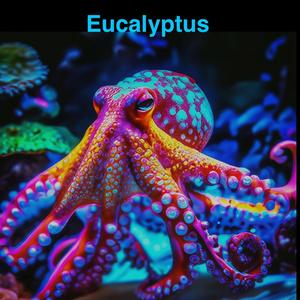 Beverly's Hillbillies