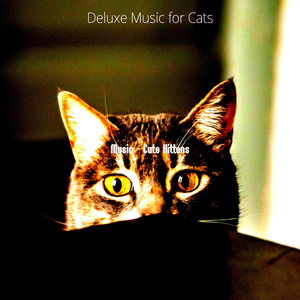 Chilled (Training Cats)
