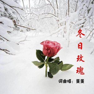 冬日玫瑰 (demo)