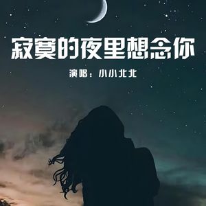 寂寞的夜里想念你