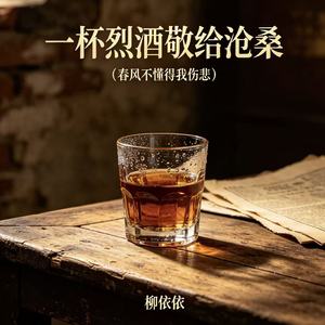 一杯烈酒敬给沧桑（春风不懂得我伤悲）
