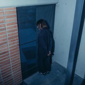 ดอกกุหลาบร่วงหล่น