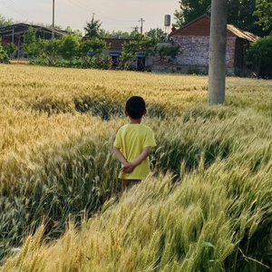 平原是无法登顶的山