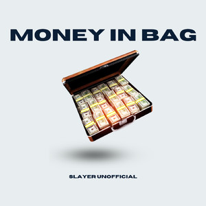 Money in bag