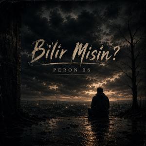 Bilir Misin?