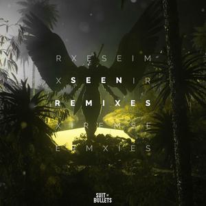 Seen (feat. Veronica Bravo) [Paul Flint Remix]