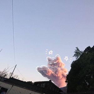 K1351(cover 一三）