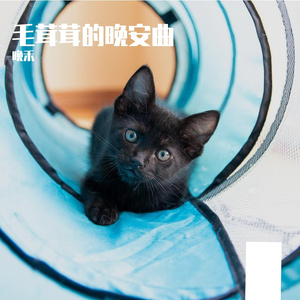 《还在呢》- 小树懒的歌