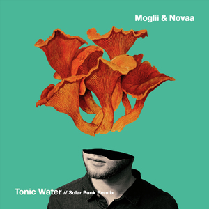 Tonic Water (Solar Punk Remix)