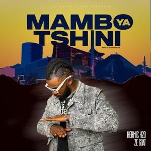 Mambo Ya Tshini