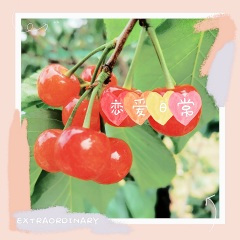 为你疯了我自己